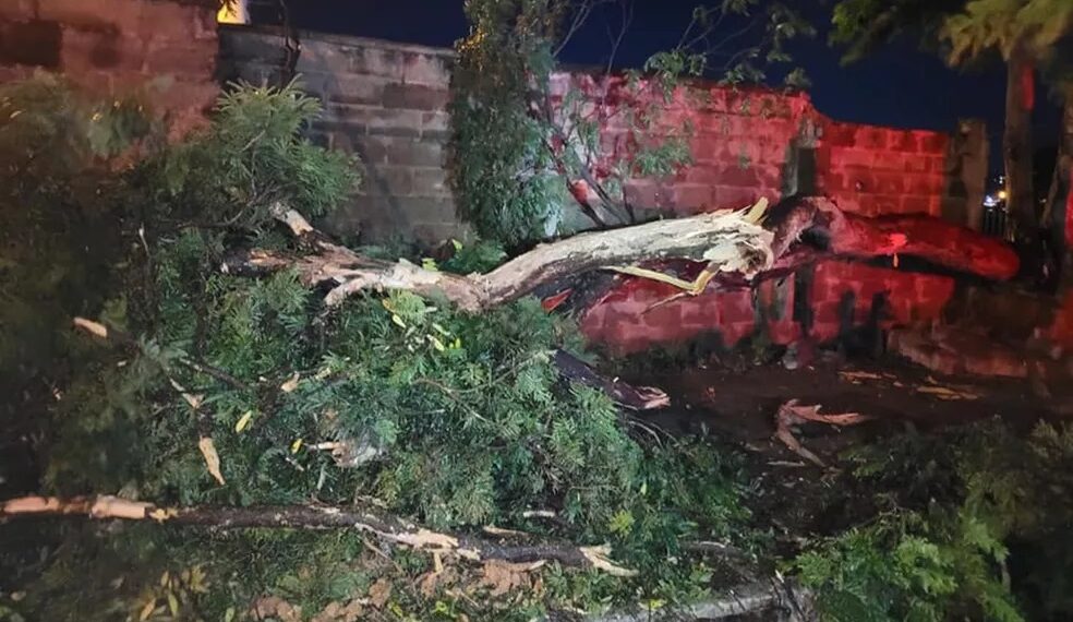 Chuva e vento forte causam estragos em vários pontos de Guaxupé