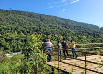 Jardim Botânico de Poços de Caldas reabre para visitação após dois anos