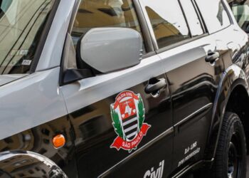 Suspeita de integrar quadrilha de furto de camionetes é presa pela PCSP