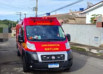Ao tentar defender seu cãozinho, idosa tem braço dilacerado por pitbulls no sul de Minas Gerais