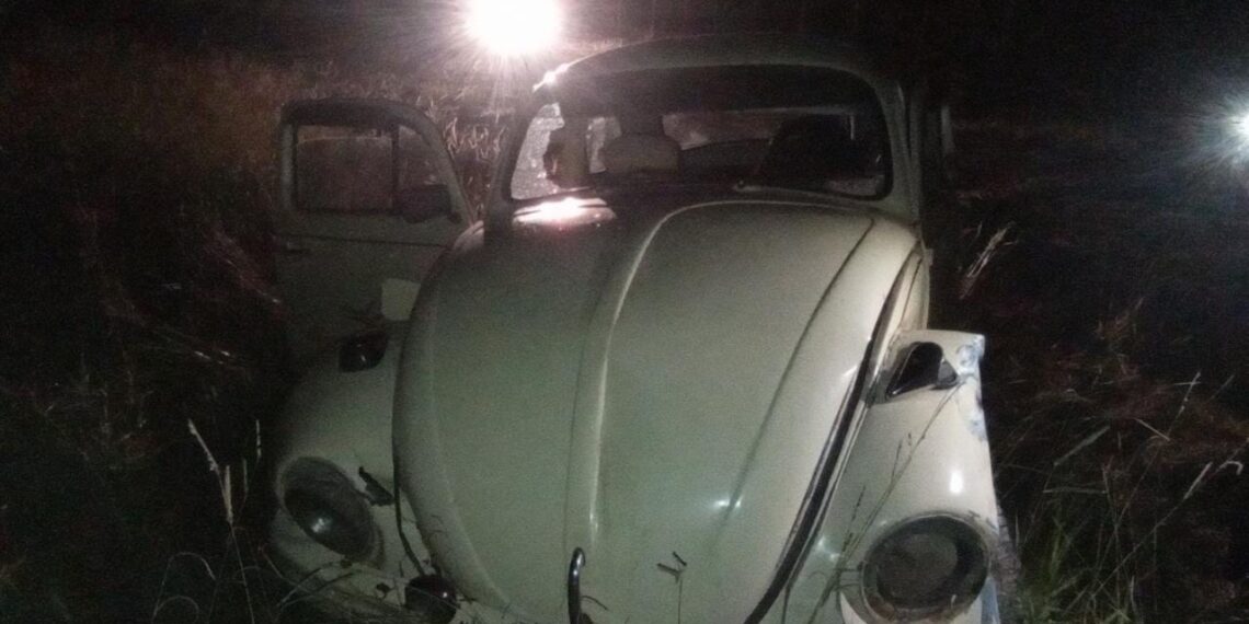 Motorista embriagado invade contramão, atinge caminhão e cai em ribanceira em Campestre