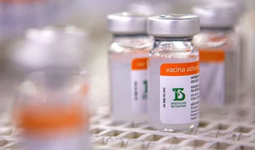 Aplicação da Coronavac em crianças de 3 a 5 anos é solicitada pelo Butantan