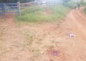 Homem é morto com golpes de facão em cidade do Sul de Minas