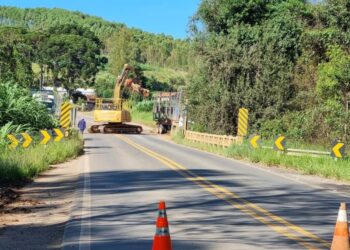 Carreta com mais de 20 toneladas de toras de eucalipto tomba em rodovia de Poços