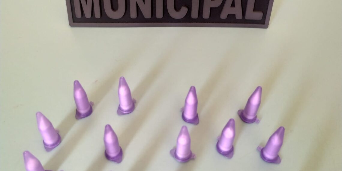 Dupla se livra de droga e foge da Guarda Municipal pulando em rio em Andradas