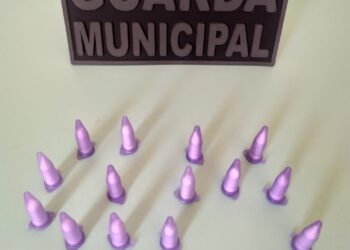 Dupla se livra de droga e foge da Guarda Municipal pulando em rio em Andradas