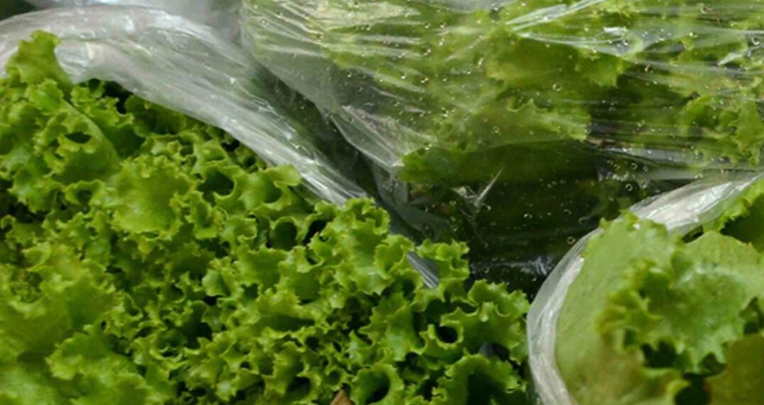 Governo de Minas Gerais zera imposto sobre hortaliças e frutas semiprocessadas