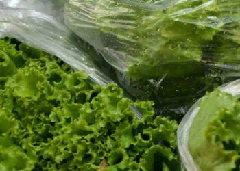 Governo de Minas Gerais zera imposto sobre hortaliças e frutas semiprocessadas