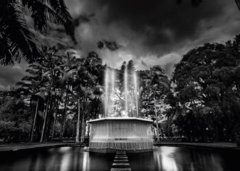 Exposição no Mercado Municipal reúne fotos de Poços de Caldas