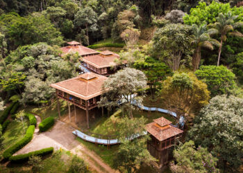 Parque Ambiental da Alcoa Poços de Caldas celebra 29 anos de atividades