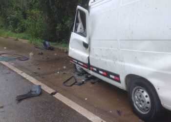 Motorista de van morre em acidente na BR 459