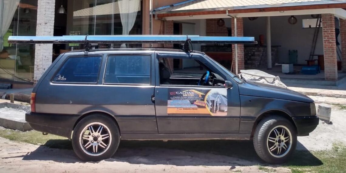 Campanha arrecada doações para ajudar cachorrinha atingida por foice acidentalmente em Poços de Caldas