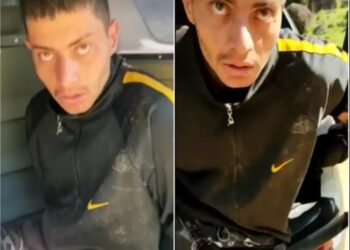 Conheça o cão farejador que ajudou a polícia a chegar ao suspeito de matar estudante