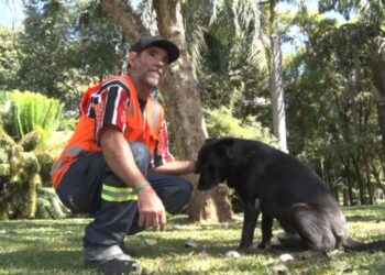 Amizade linda: cão faz companhia para gari todos os dias no trabalho