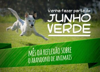 Demonstração de adestramento e desfile de cães são realizados neste sábado em Poços de Caldas