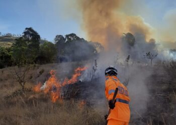 9 mil metros de vegetação são consumidos por incêndio em Poços de Caldas
