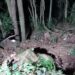 Jovens sofrem acidente de moto na estrada do Cristo em Poços de Caldas