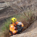 Após escorregar de pedra de 12 metros de altura, cão é resgatado pelos Bombeiros em Poços de Caldas