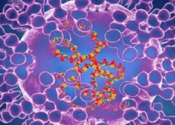 Minas Gerais confirma 1º caso de varíola dos macacos