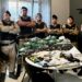 PM de Poços apreende 40 kg de drogas, R$ 22 mil, euro e dólar; três suspeitos foram presos