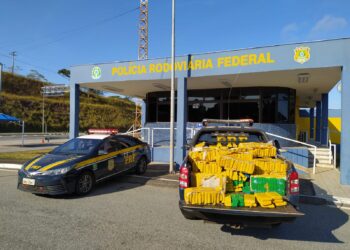 PRF apreende cerca de 366 kg de maconha e recupera veículo em rodovia de MG