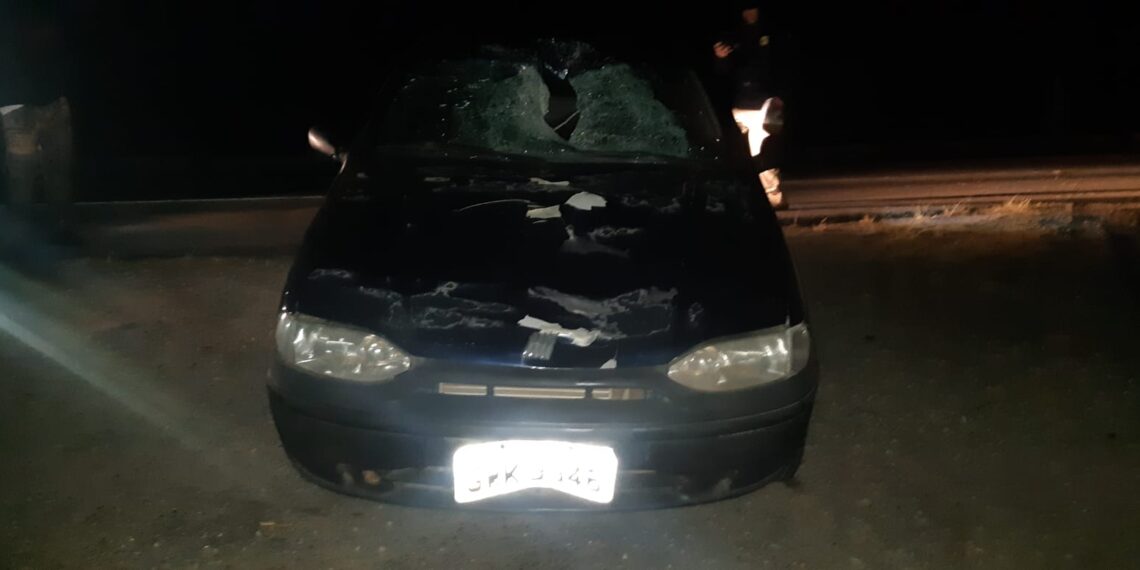 Homem fica gravemente ferido após ser atropelado na BR-459