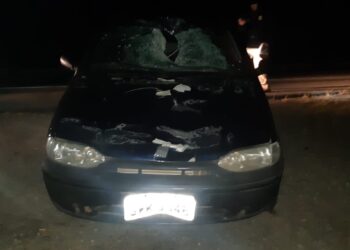 Homem fica gravemente ferido após ser atropelado na BR-459