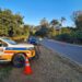 Sete condutores são flagrados dirigindo embriagados em Andradas