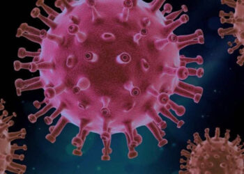 VARÍOLA DOS MACACOS | Segundo caso é confirmado em São Paulo