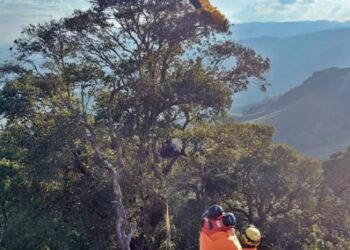 Piloto fica preso em árvore após colisão entre paraglider e asa delta durante voo