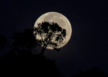 Superlua poderá ser vista em todo o Brasil nesta terça-feira