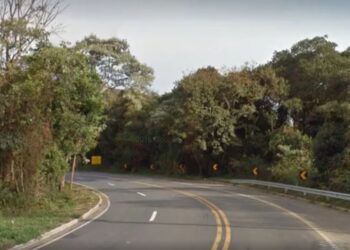 Caminhão tomba em curva e motorista morre na SP-215
