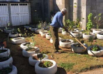 Idoso de 92 anos cuida de horta comunitária em UBS de Poços de Caldas