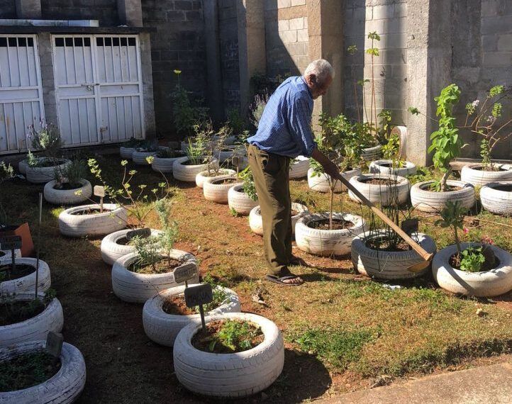 Idoso de 92 anos cuida de horta comunitária em UBS de Poços de Caldas