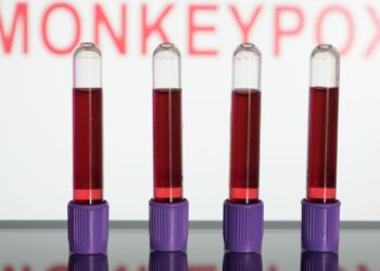 Varíola dos macacos: entenda a transmissão, os sintomas e a vacina