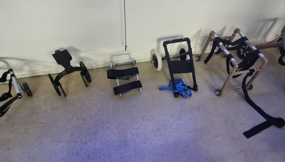 Universidade desenvolve próteses para animais com dificuldades de locomoção