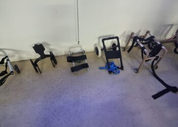 Universidade desenvolve próteses para animais com dificuldades de locomoção