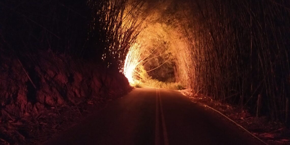 VÍDEO | Trecho de rodovia que liga Poços de Caldas a Palmeiral é interditado após incêndio em bambuzal