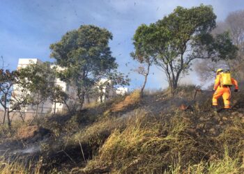 Incêndio consome 1.400 metros quadrados de vegetação em Poços de Caldas