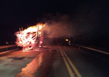 VÍDEO |Carreta que transportava eucalipto tem carga incendiada na BR-146 em Poços de Caldas