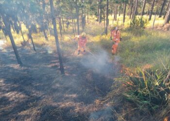 Bombeiros de Poços combatem incêndio na Zona Oeste