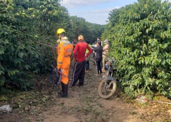 Buscas por bebê desaparecida serão retomadas nesta sexta