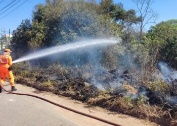 Incêndio consome 400 metros de vegetação em Poços de Caldas