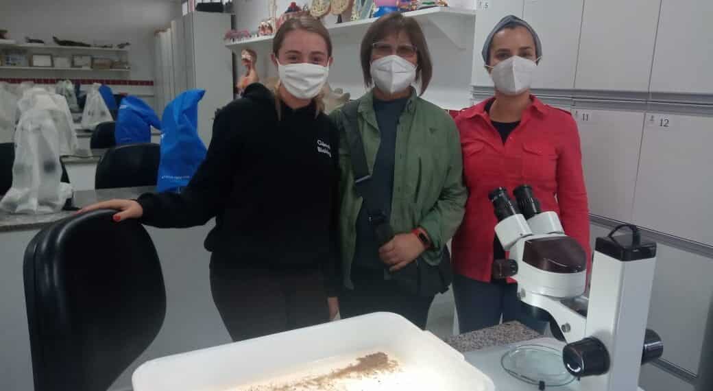 Nova espécie de inseto aquático é encontrada por pesquisadora do IFSULDEMINAS Poços de Caldas