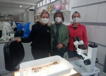 Nova espécie de inseto aquático é encontrada por pesquisadora do IFSULDEMINAS Poços de Caldas