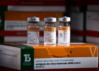 Covid-19: Poços começa amanhã vacinação de crianças de 3 e 4 anos imunossuprimidas