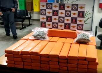 Polícia Rodoviária apreende 103 kg de maconha e prende dois jovens
