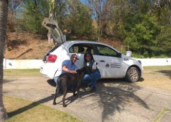 Campanha de Vacinação Antirrábica continua na próxima semana