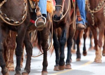 Desfile de cavaleiros e amazonas acontece no dia 11 em Poços de Caldas