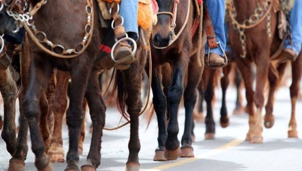Desfile de cavaleiros e amazonas acontece no dia 11 em Poços de Caldas
